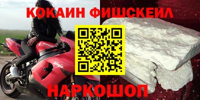 дмт Аргун