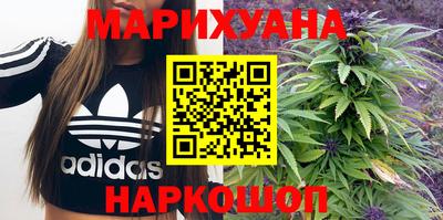дмт Аргун