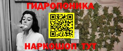 дмт Аргун