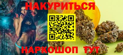 дмт Аргун